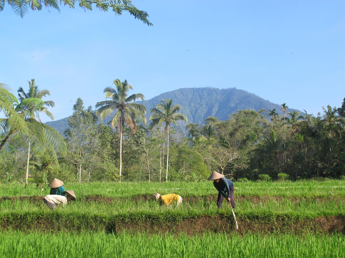 Prana Dewi Mountain Resort Jatiluwih Exterior photo