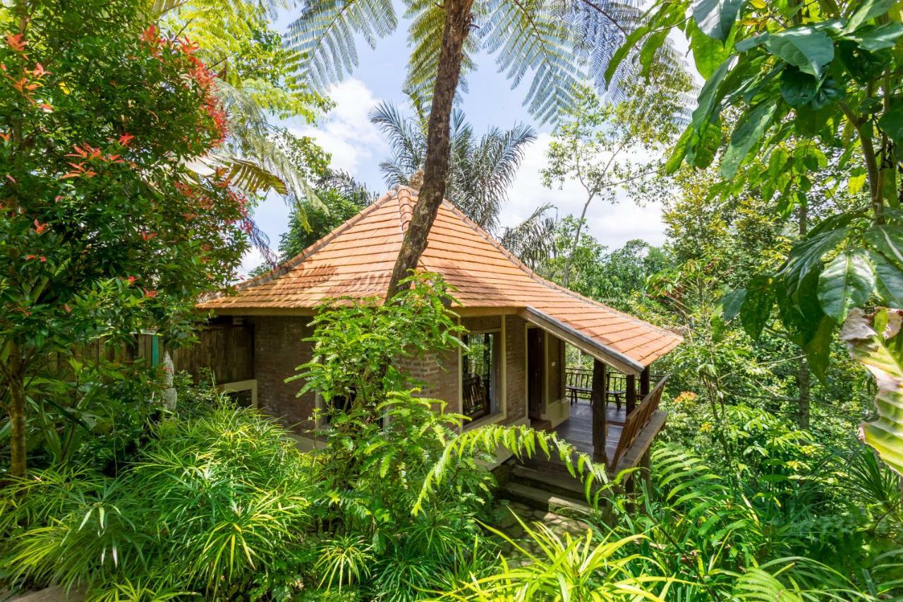 Prana Dewi Mountain Resort Jatiluwih Room photo